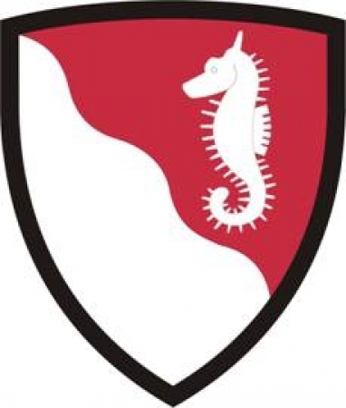 US SLEEVE INSIGNIA